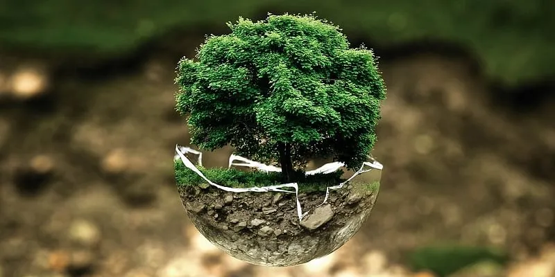 Conservation
