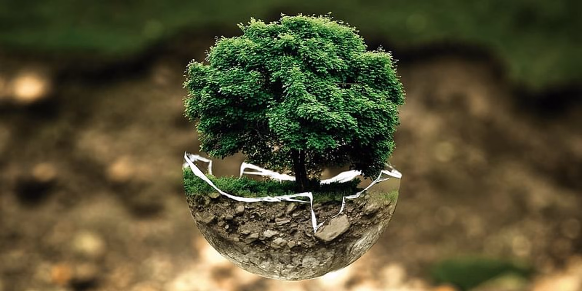 5 green habits we all can inculcate to save our planet