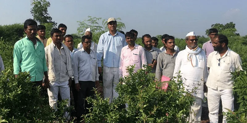 Farmers on TBOF