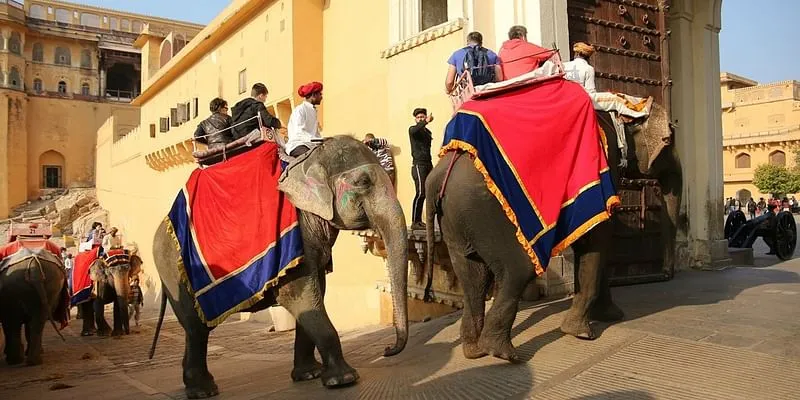 elephant rides