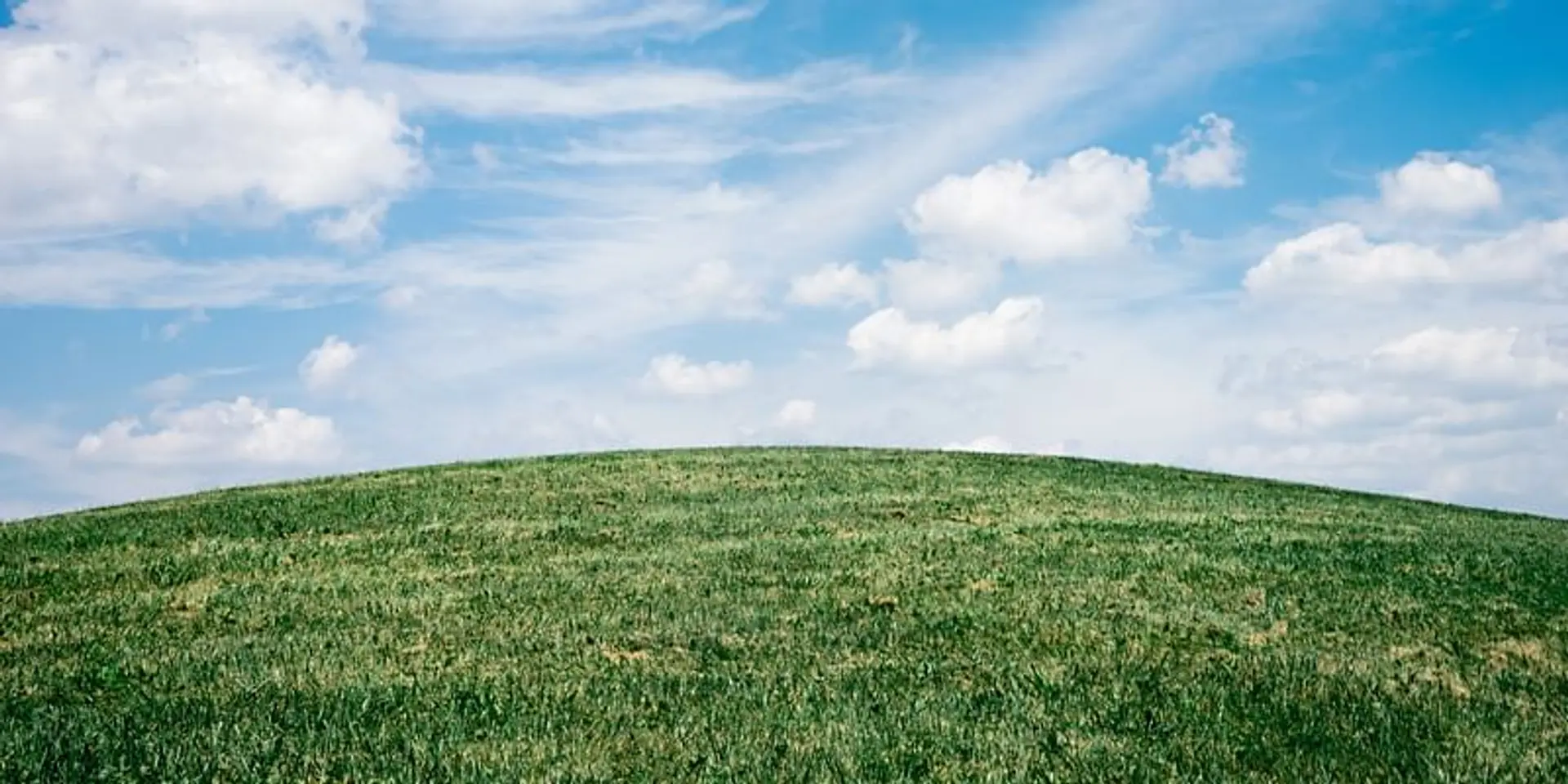 Earth Day: With humans indoors due to coronavirus, the planet celebrates and heals itself