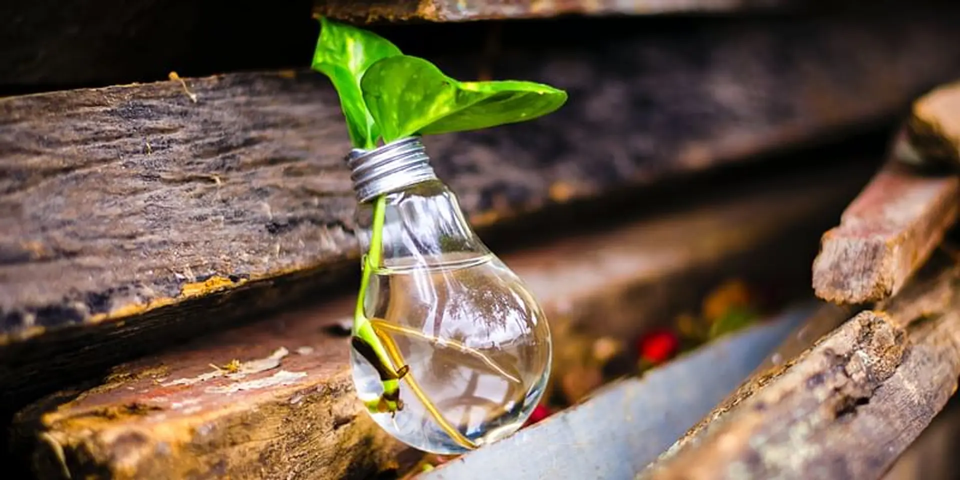 Here are 5 STEM innovations by young girls across India