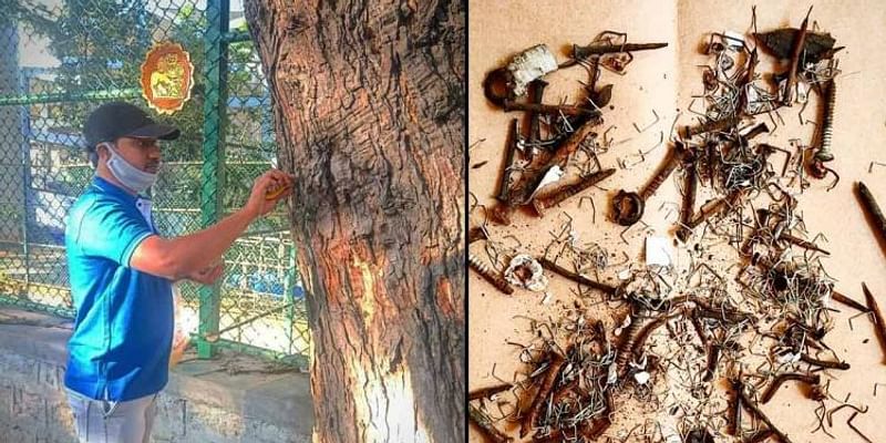 This Bengaluru-based scientist and his friends are on a mission to rid trees of nails and staplers