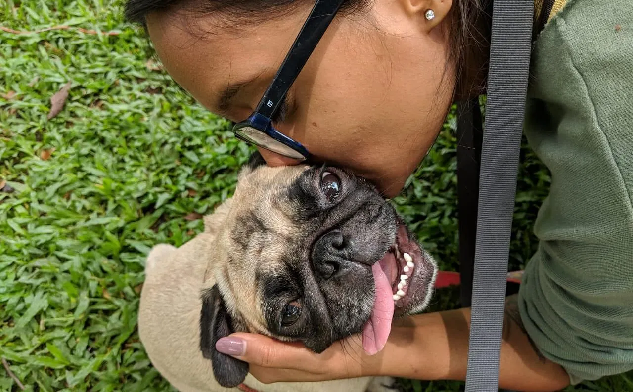 Meet the dog lover from Bengaluru who runs a small business to help animals - Vimarsana News