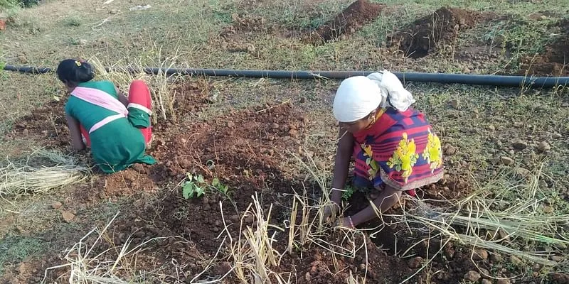 Narmada Valley