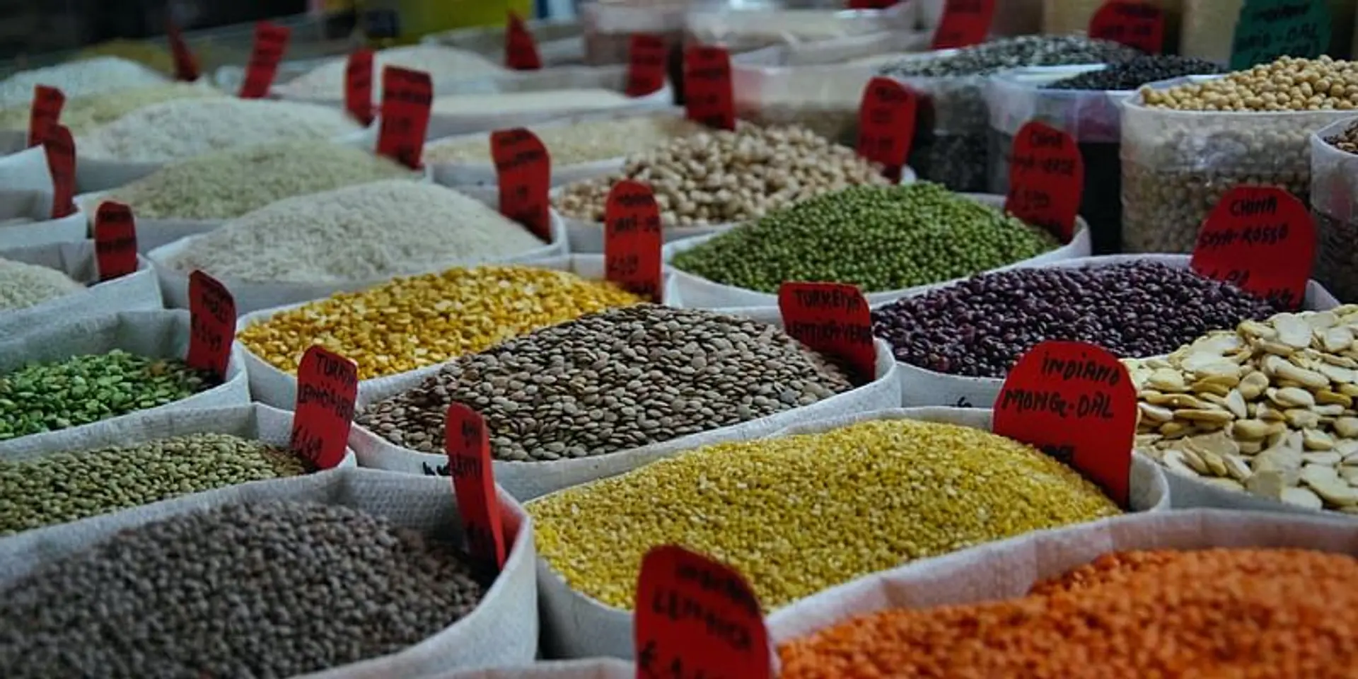 COVID: Government allocates 199 lakh tonnes of foodgrains for free distribution during July-November