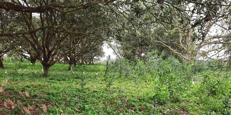 Mission Prakriti
