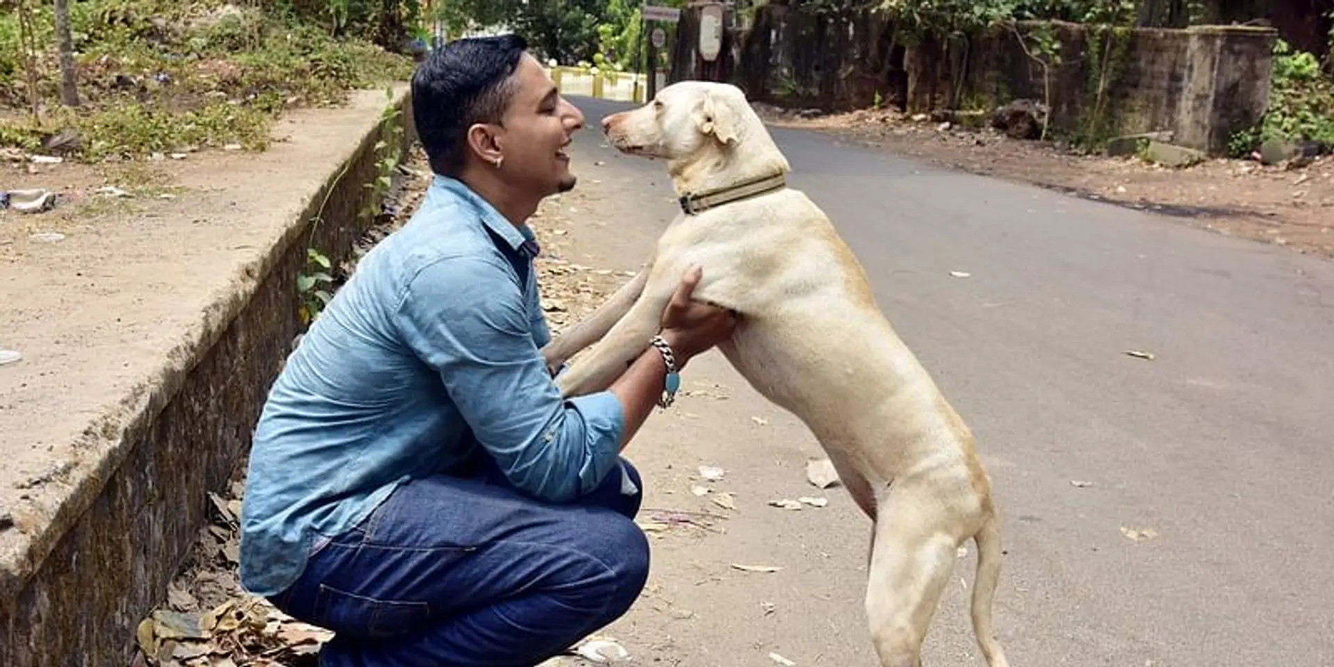 Coronavirus: Here’s how you can help voiceless furry friends affected by the lockdown