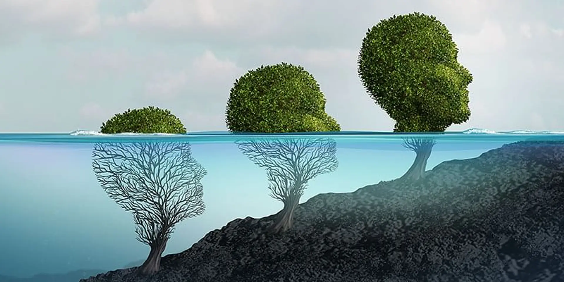 What is the IPCC and what does it do?