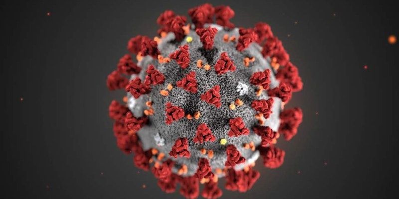 Coronavirus: This COVID-19 test developed by IITians is affordably accurate