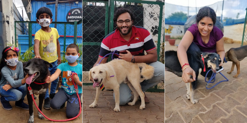 Meet the dog-lover from Bengaluru, who has rescued over 2,000 injured dogs