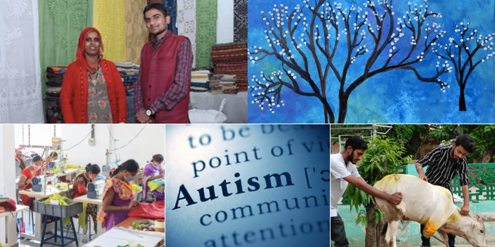 From training women to be financially independent to rescuing stray animals – the top Social Stories of the week