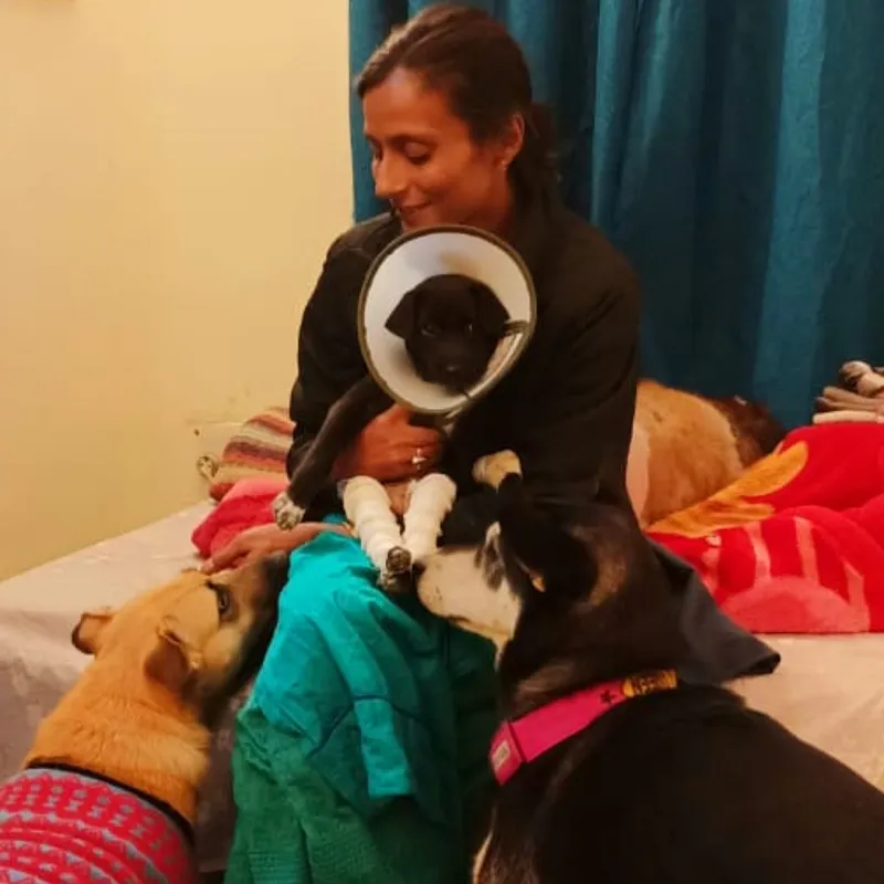 Meet the 'Dog Mother' of Greater Noida, who is taking care of hundreds of  disabled dogs