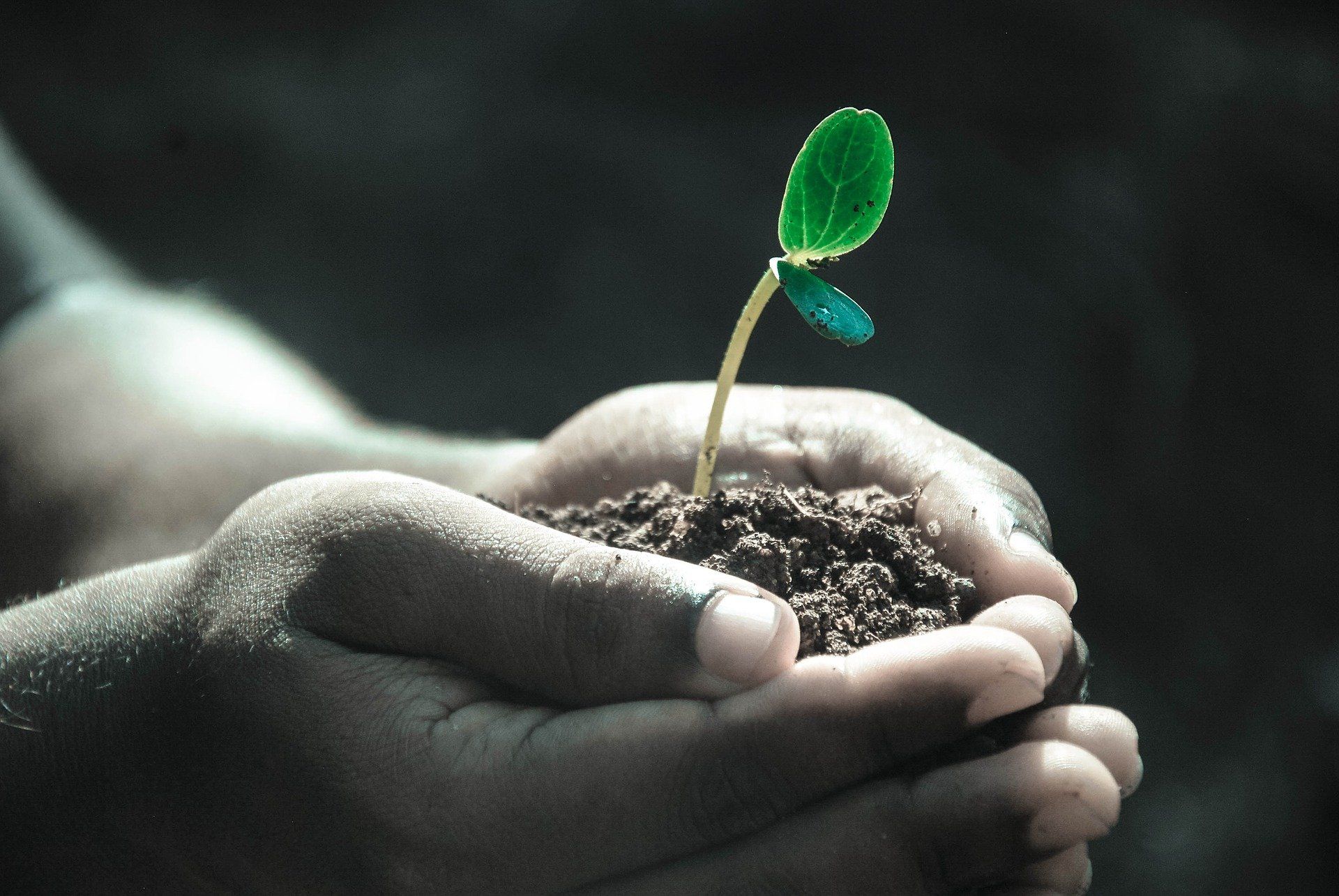 world-soil-day-2020-these-quotes-will-make-you-feel-grateful-about