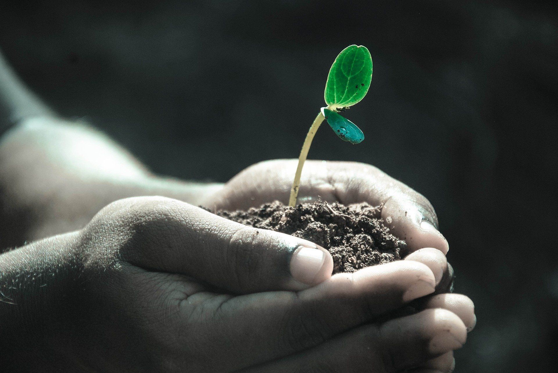 World Soil Day 2020: These quotes will make you feel grateful about this life-giving material