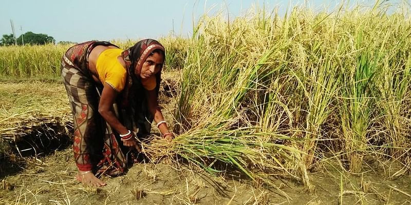 women farmers