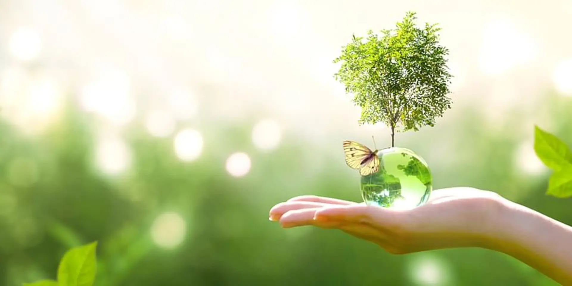 Hitachi ABB Power, IIT Roorkee sign MoU to pilot sustainable energy ecosystem