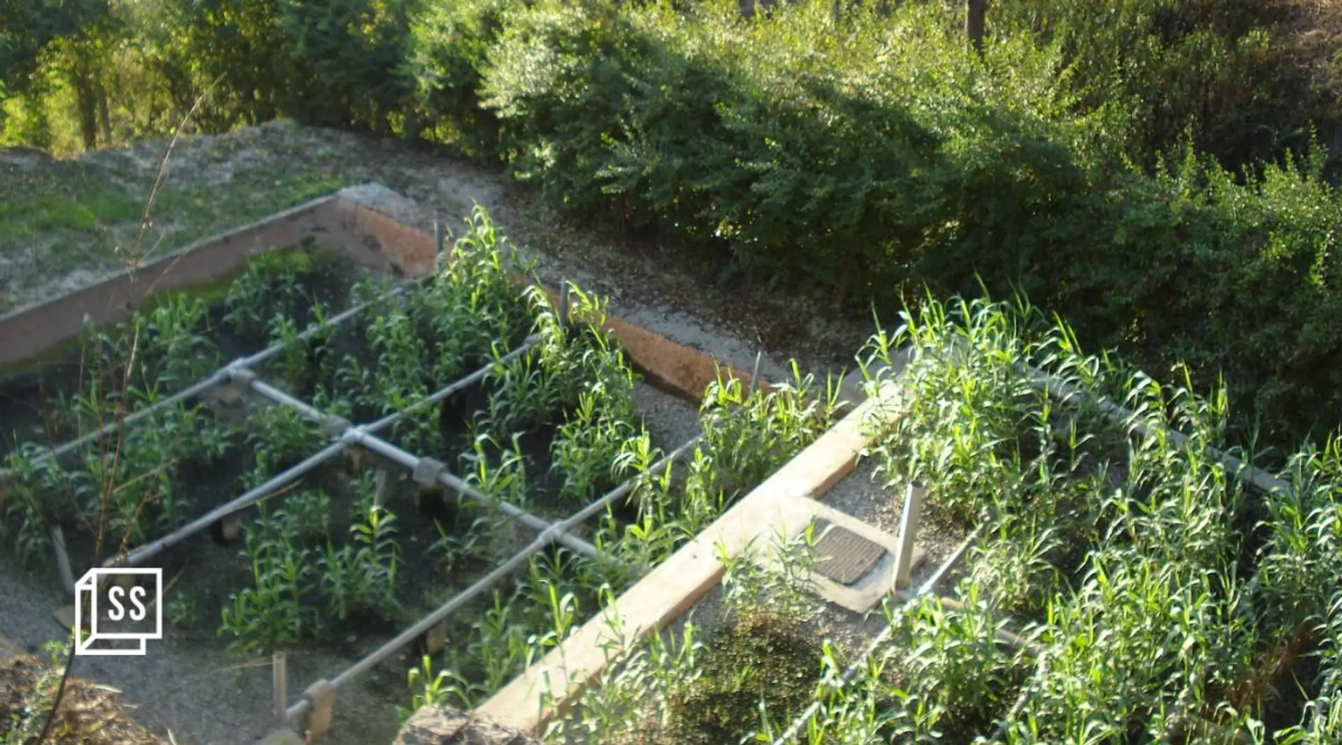 This NGO is championing water conservation through greywater recycling