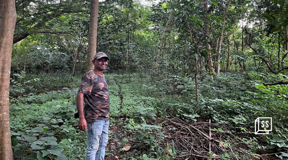 This man from Mangaluru is transforming cemeteries and dumpyards into lush green forests 
