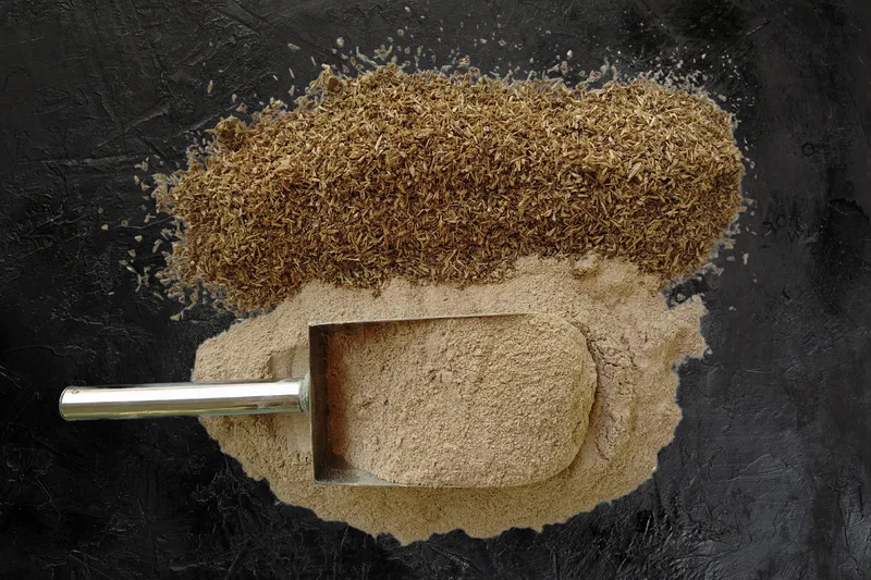 Spent grain