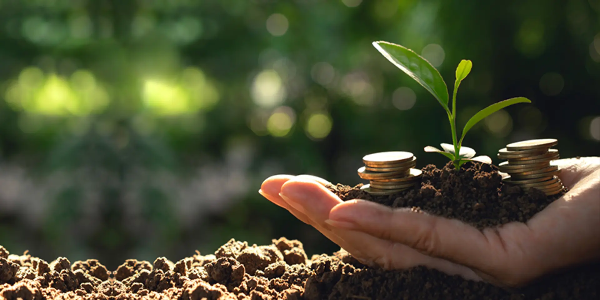 Nabard infuses Rs 1.46 lakh cr in rural banking system in 2019-20