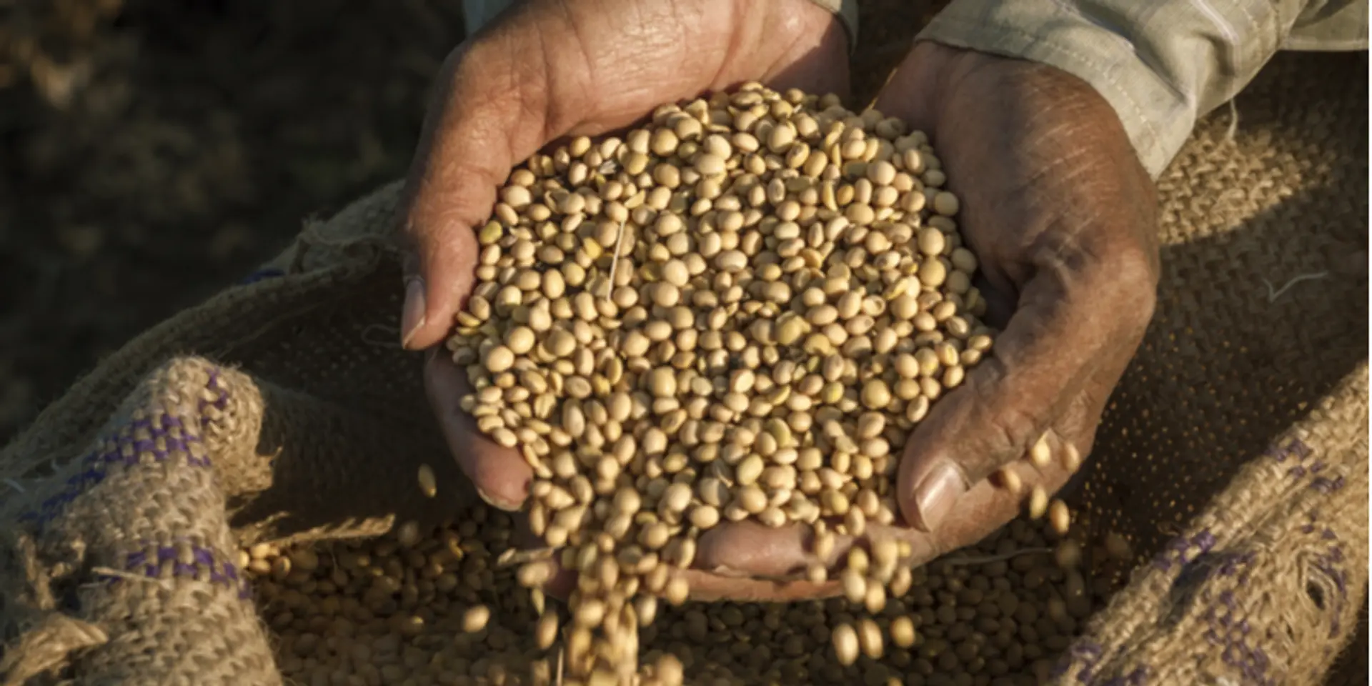 Need policy, financial support for Indian farm sector to make use of full potential of AI: NASSCOM