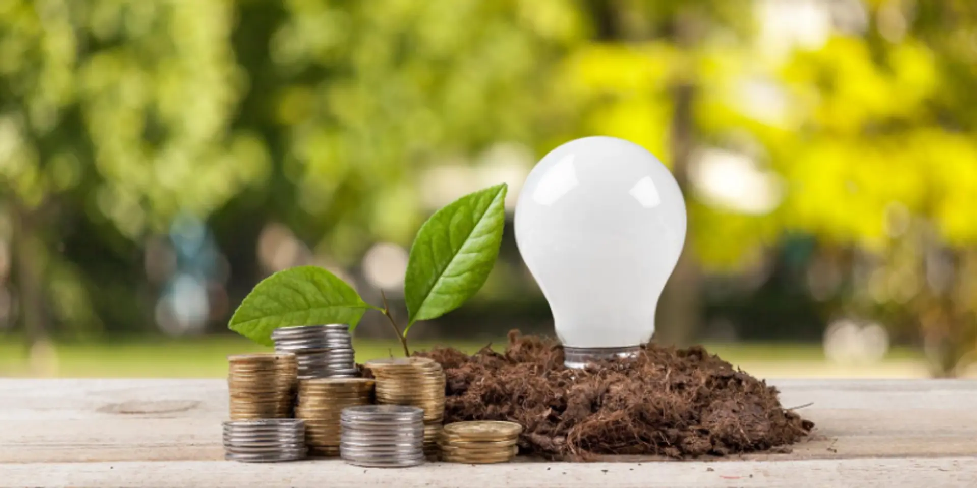 India needs a social impact revolution, driven by young entrepreneurs and strategic frameworks