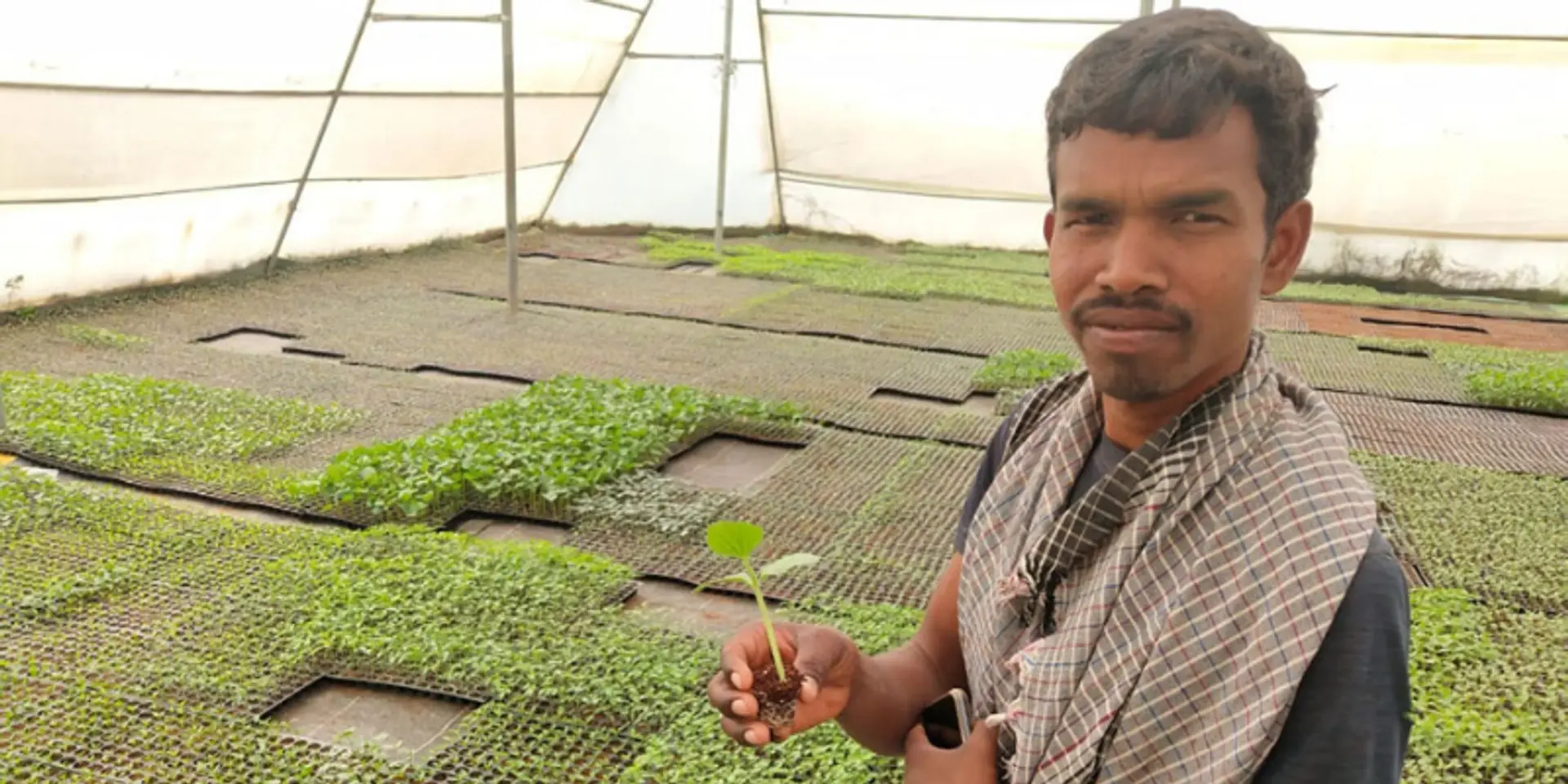 How Jharkhand’s tribal farmers are increasing their farm-based income