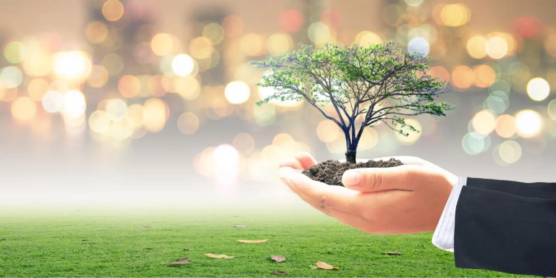 Eco-Entrepreneurship: Steering the world towards responsible living