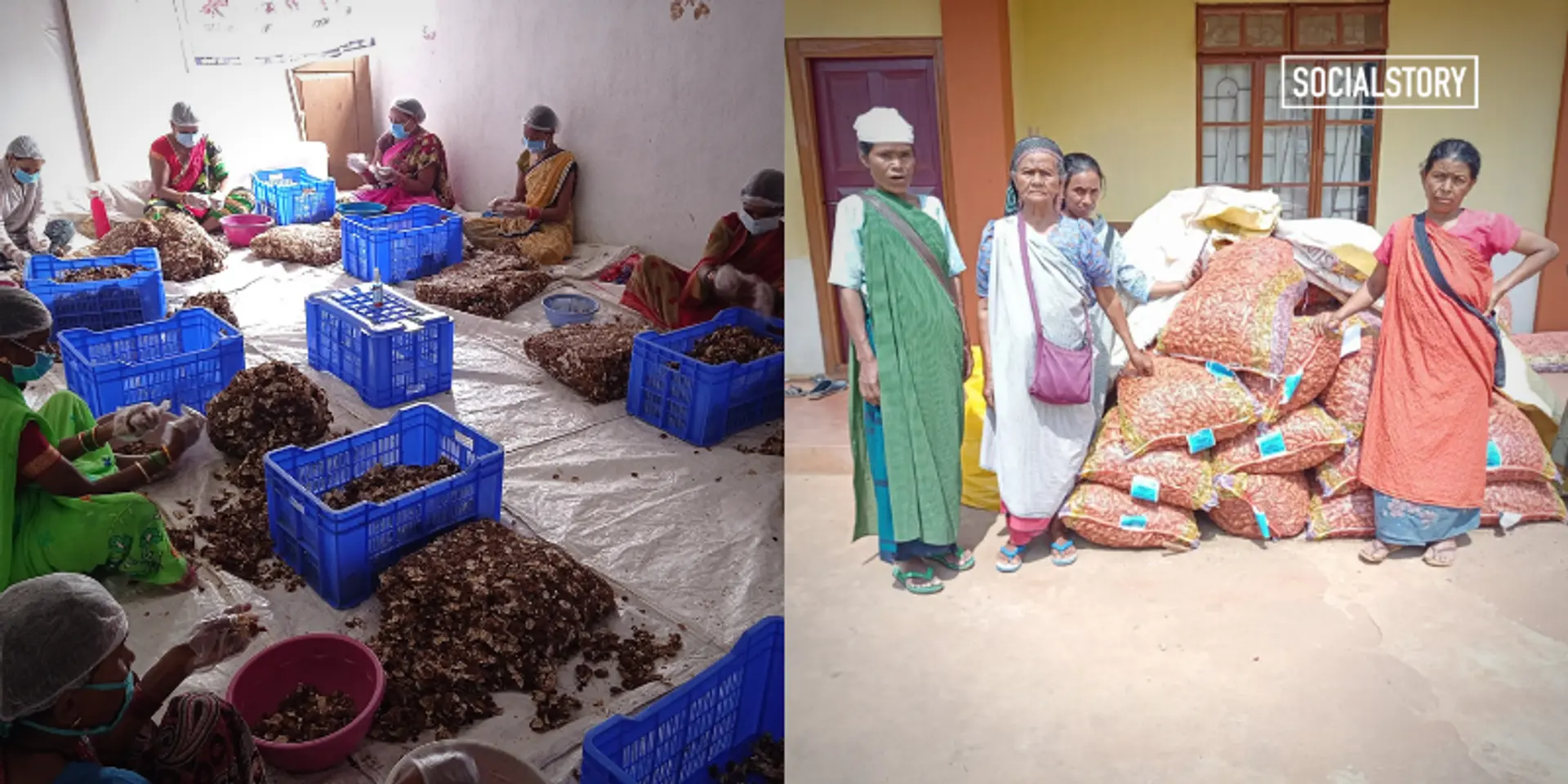 How startups, FPOs can help smallholder farmers