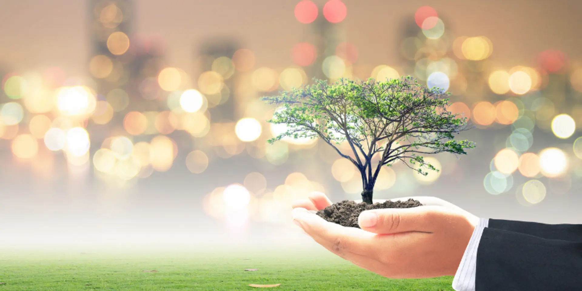 Why impact entrepreneurship is much more than 'for-profit' entrepreneurship