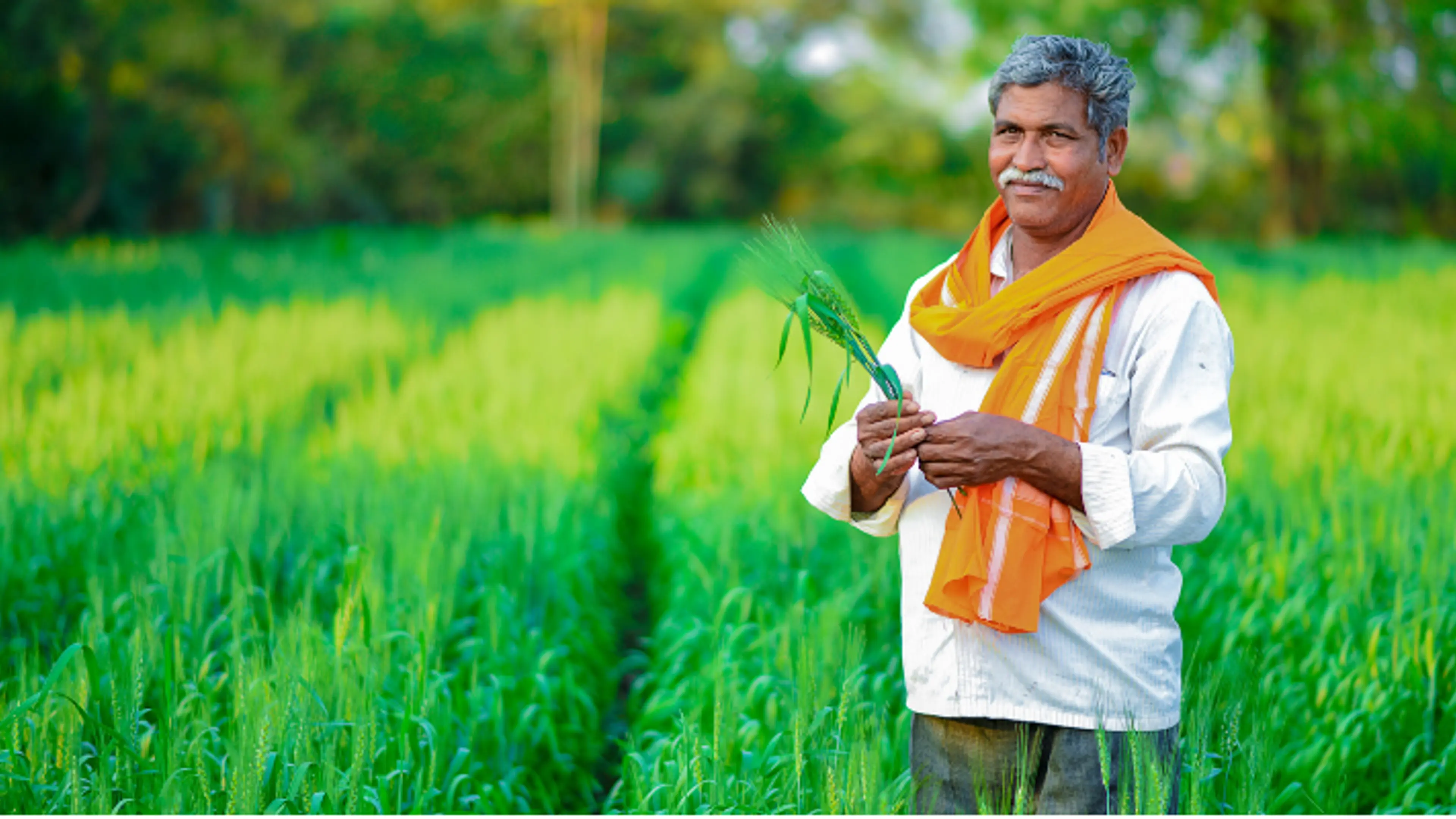 How the small Indian farmer can turn the wheels of sustainable agriculture

