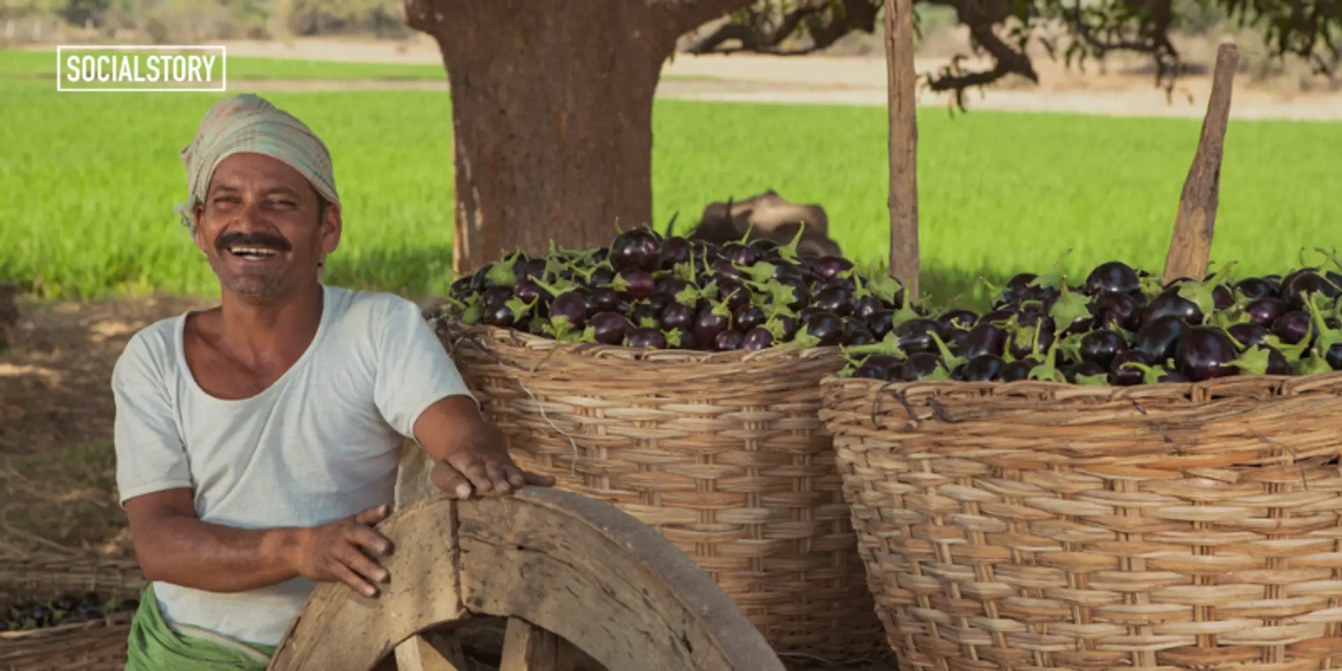 How digital mandis are transforming the lives of farmers in India