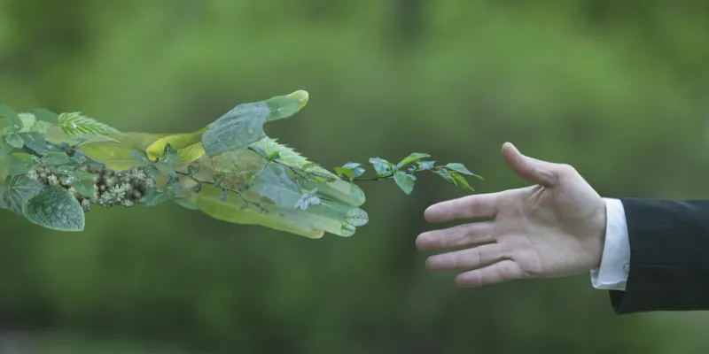 nature and people