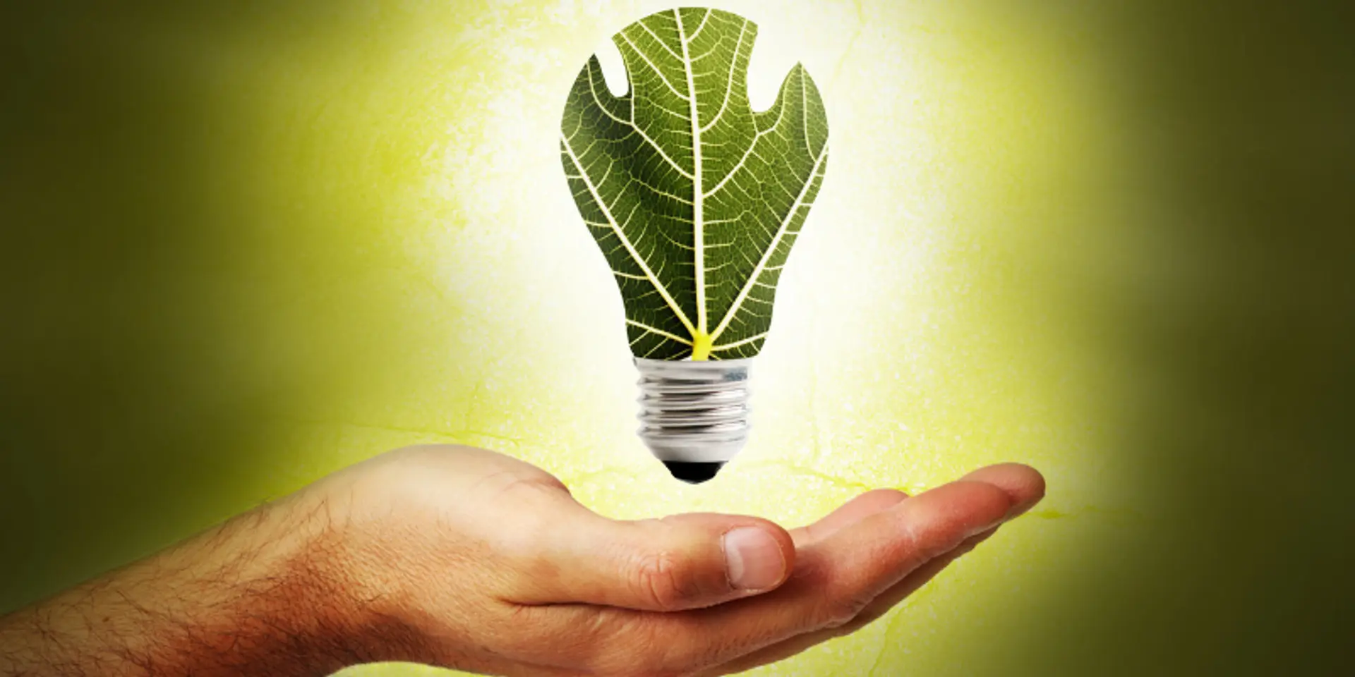 Brookfield proposes massive investment in renewable energy sector in Andhra