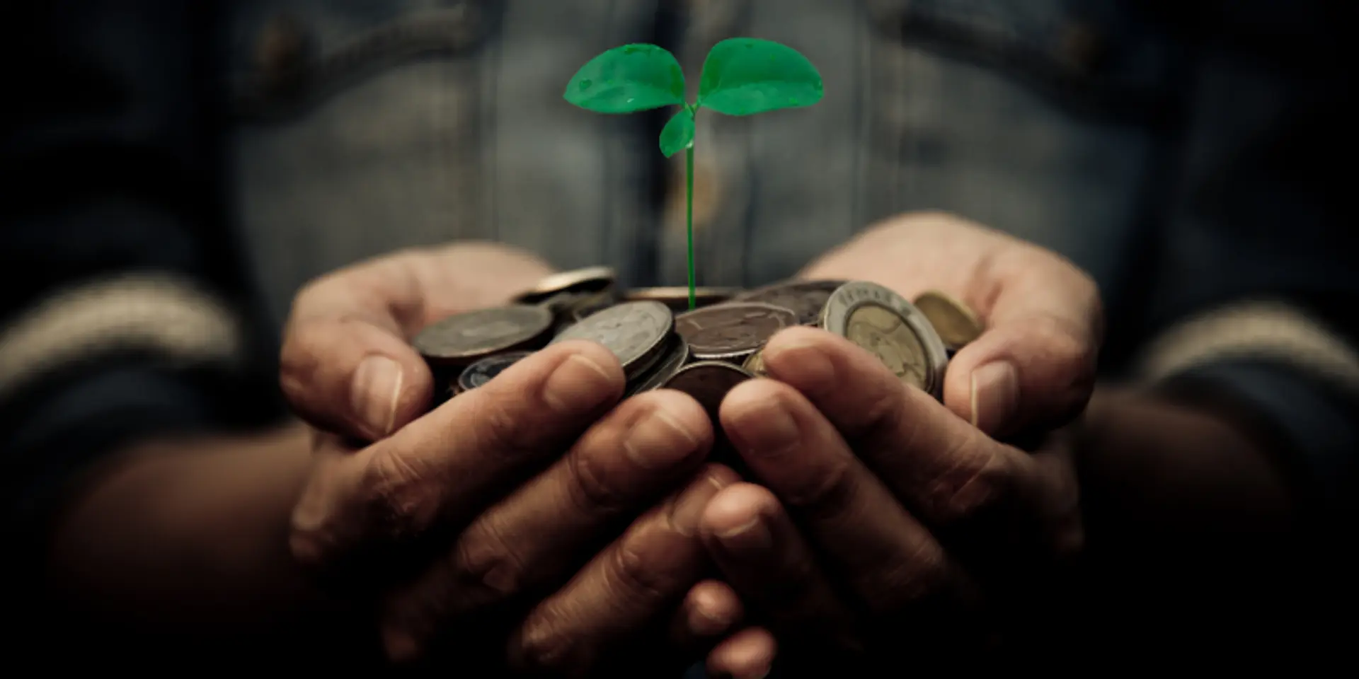 Social Capital – a fundamental part of the organisation and how to build it