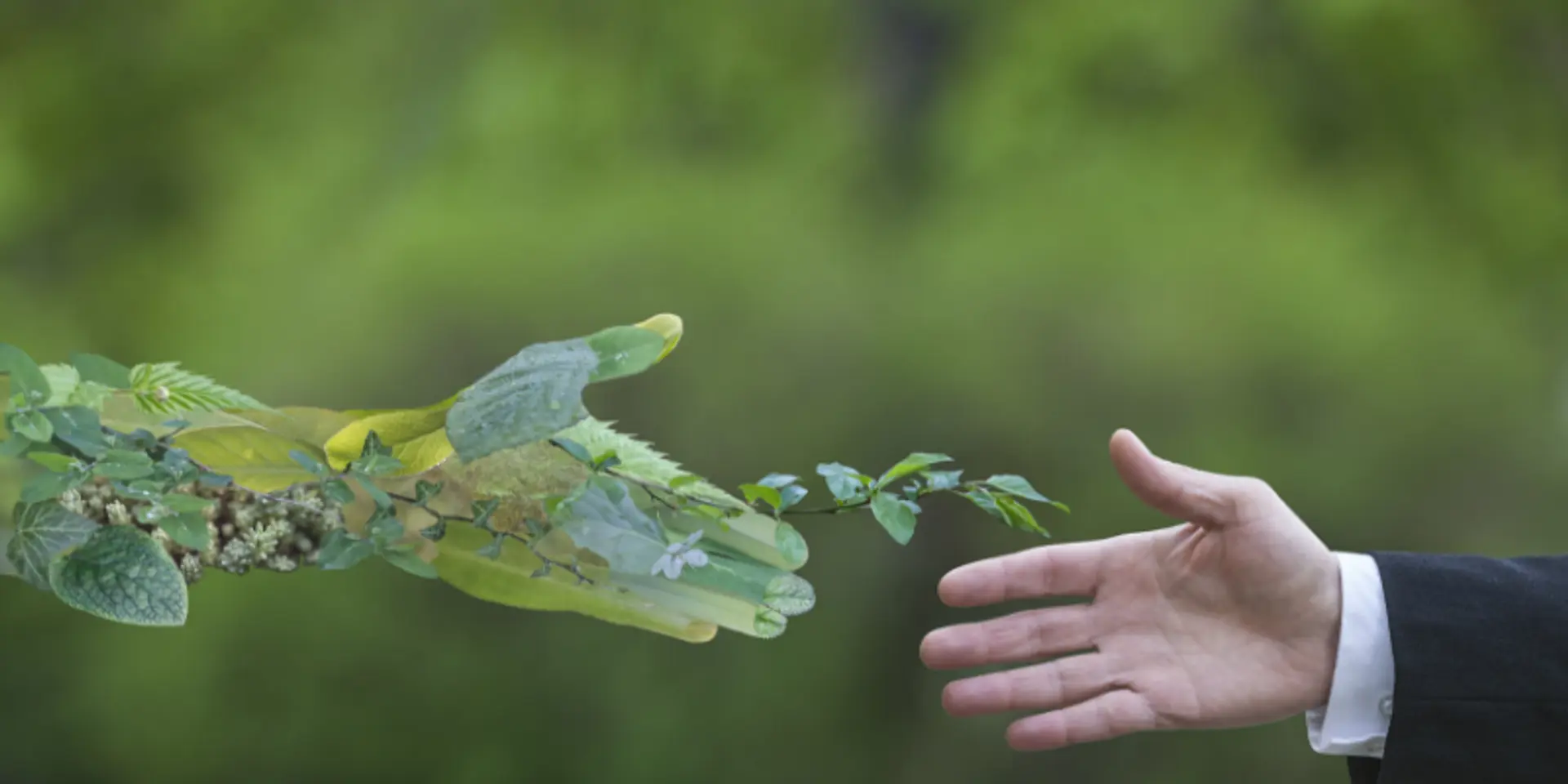 The exponential growth of social entrepreneurship in India
