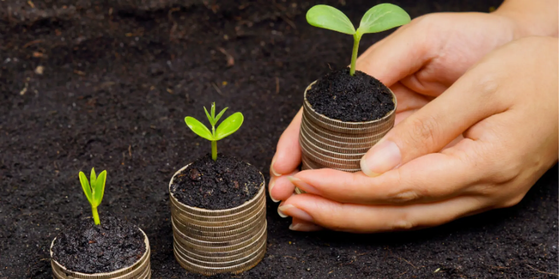 Social investing -- Innovating to bridge the gap between India and Bharat