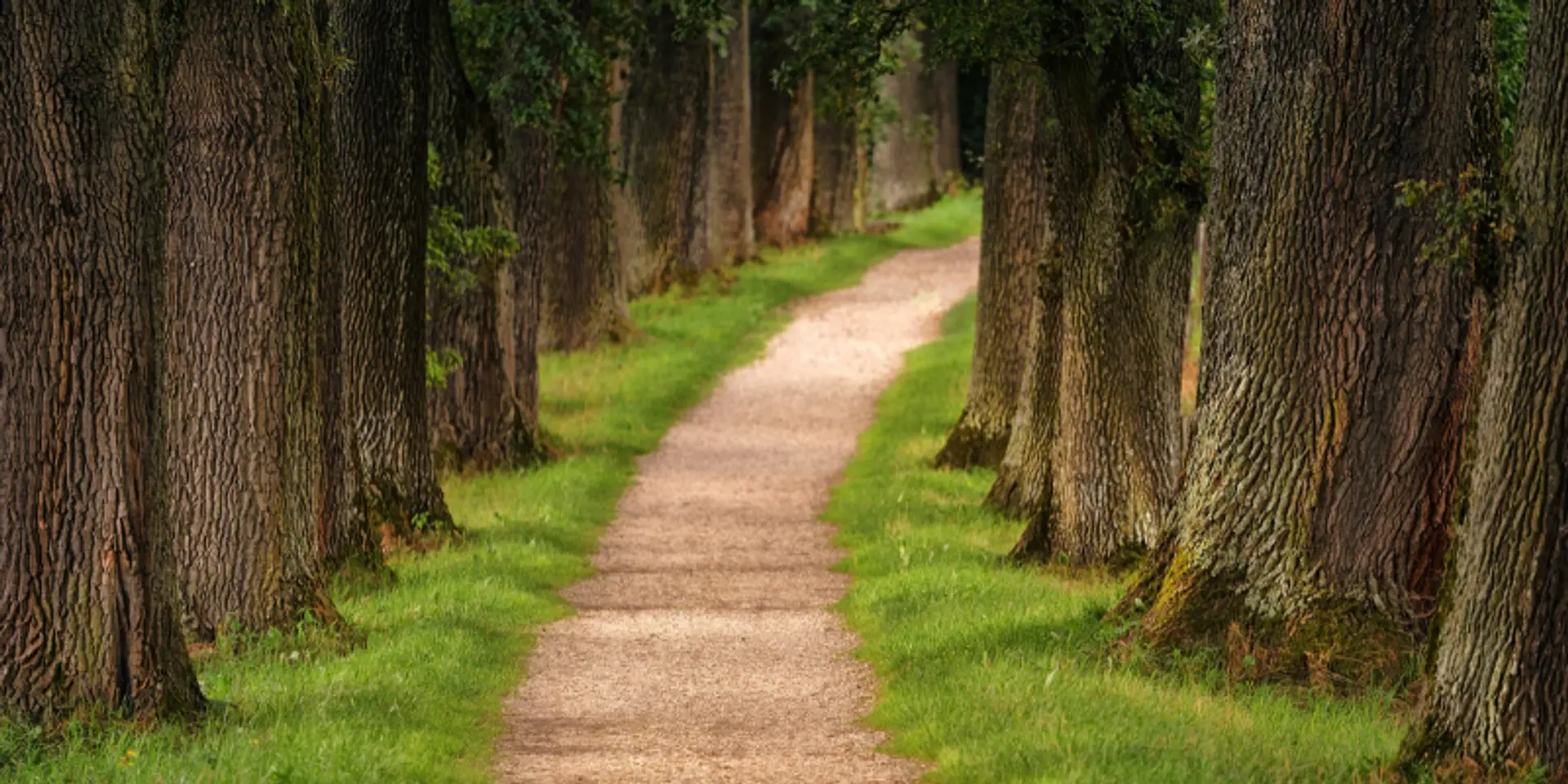 Sustainable livelihood: A look at 5 positive trends for the next decade