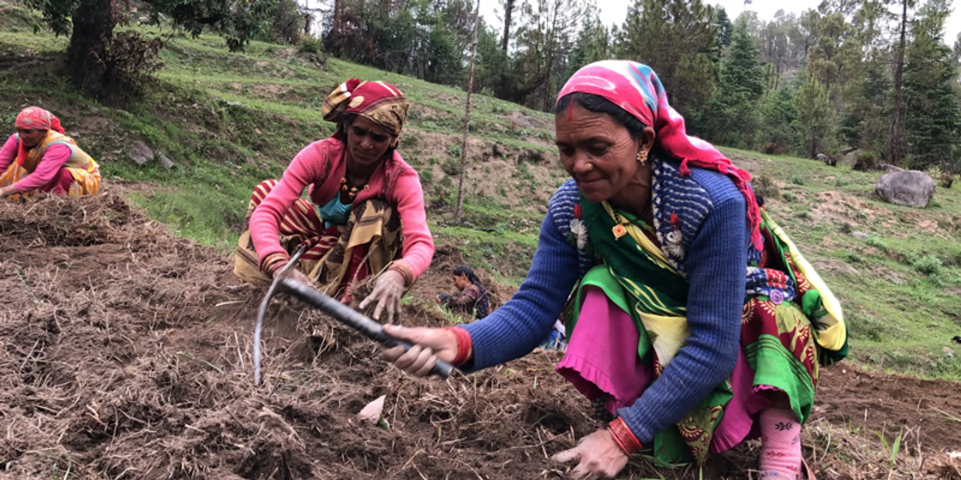 How this licensed hemp cultivation startup is changing the face of hemp sourcing in India