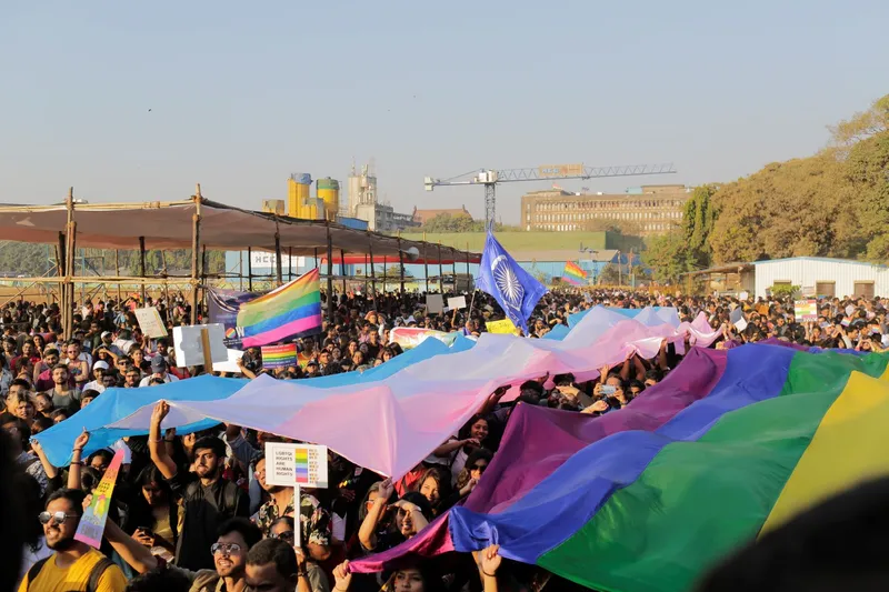 Trans flag