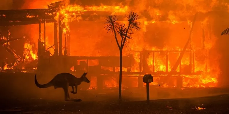 Australia bushfire