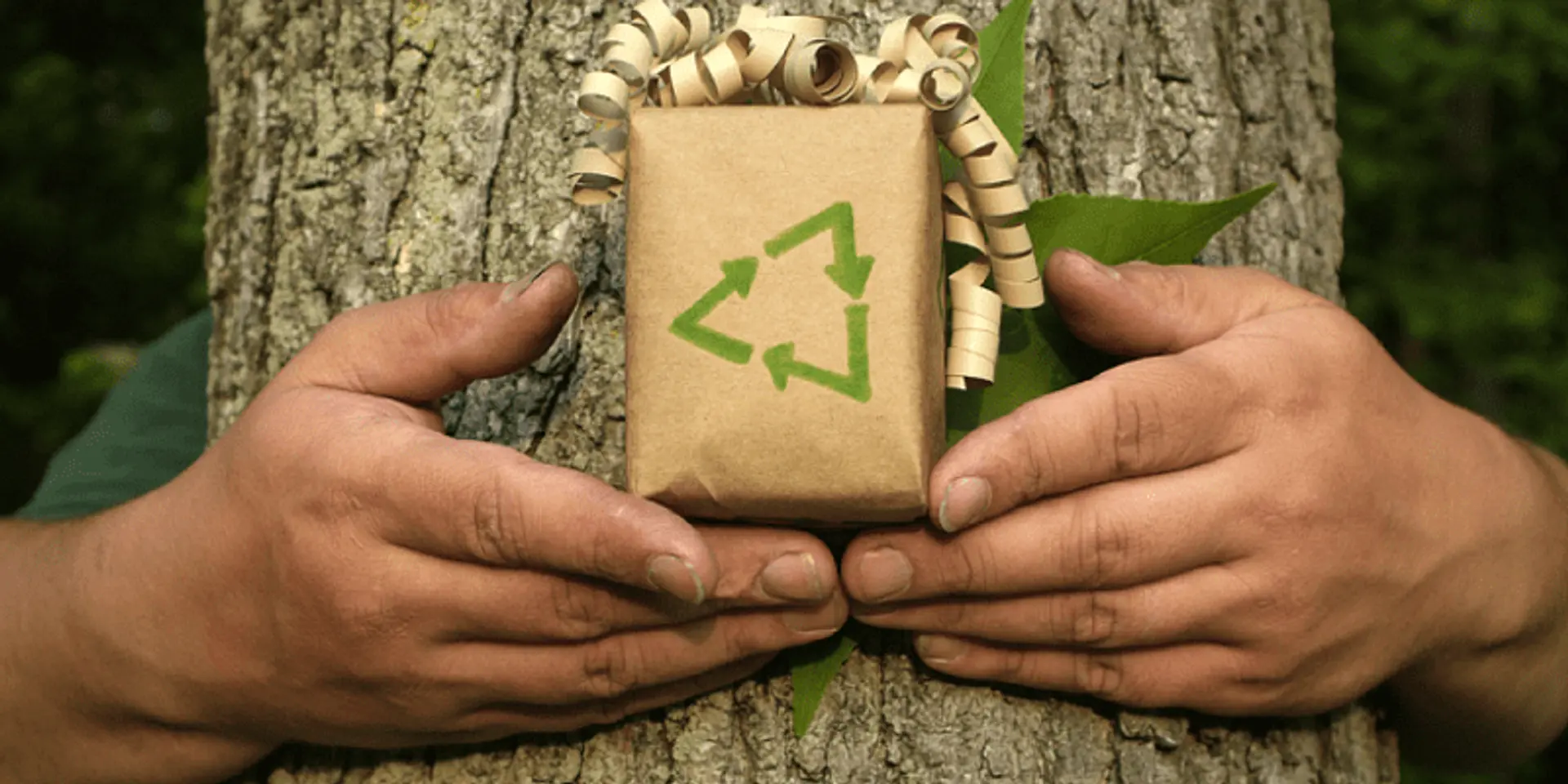 Here are some easy green gifting ideas for an inclusive, sustainable future