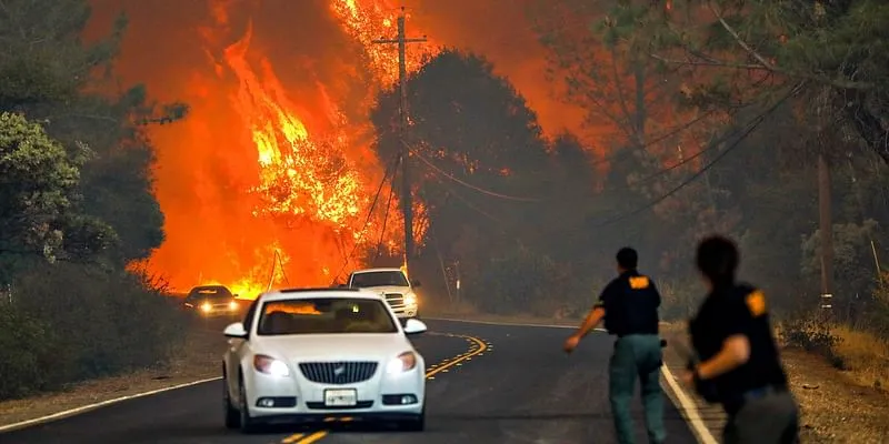 Forest fire California