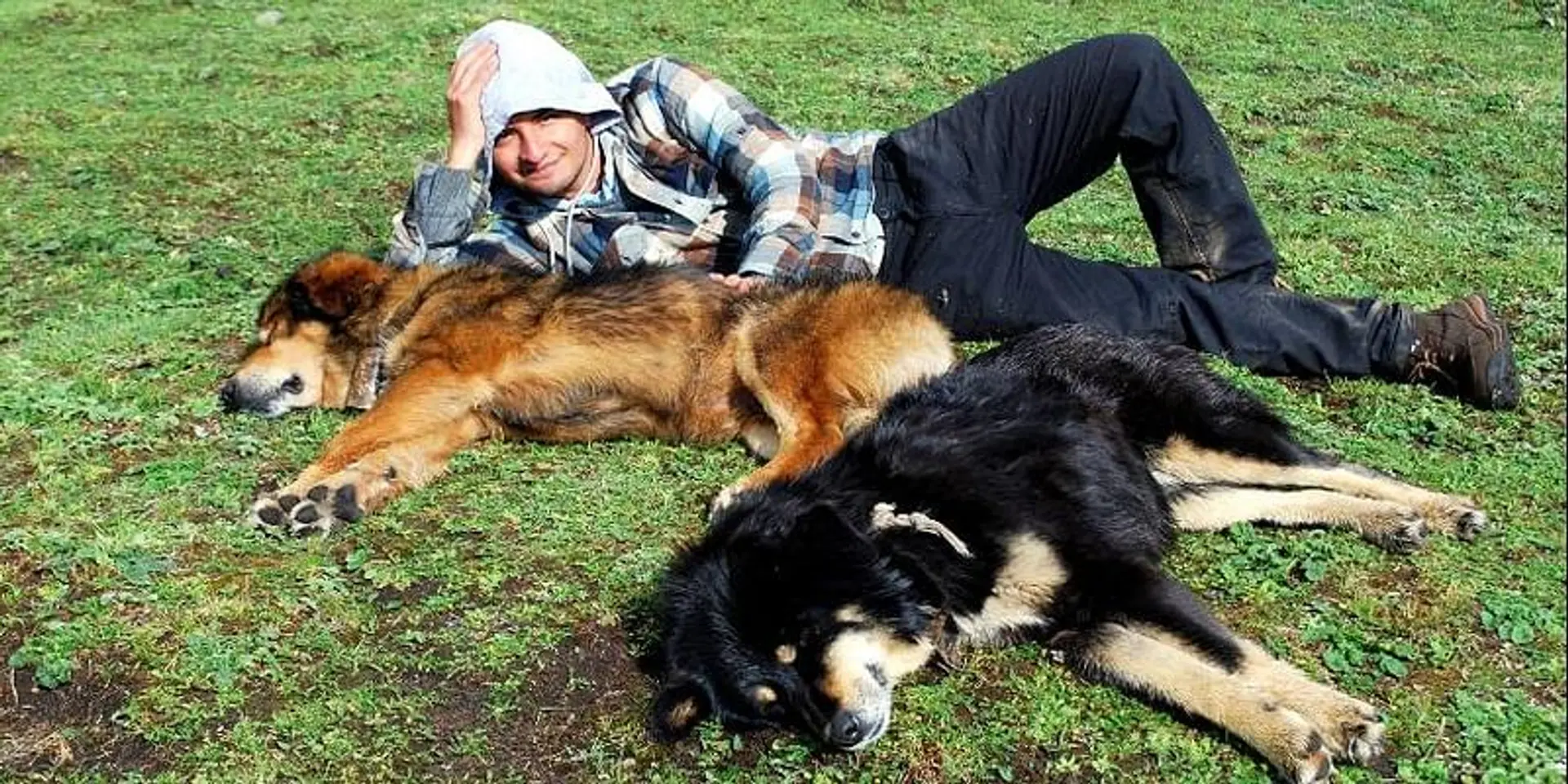 This online community of volunteers has helped 900+ street dogs find their forever homes