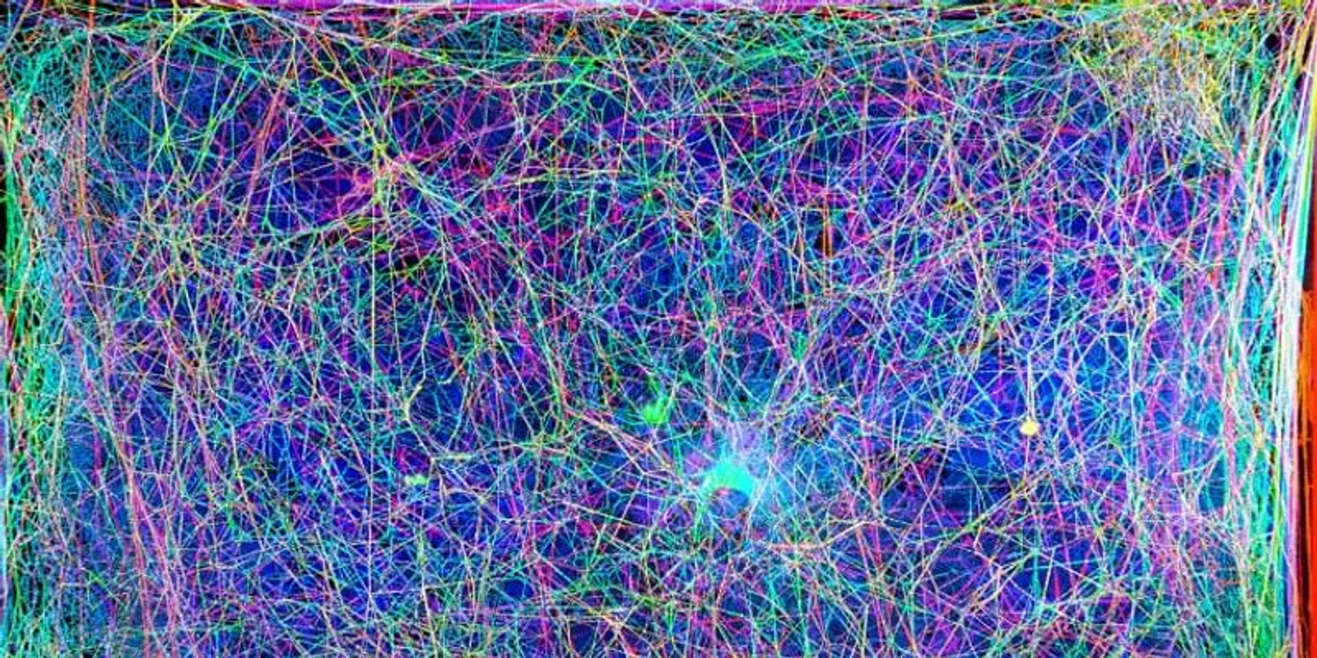 Scientists spin music out of spider webs...you can listen too