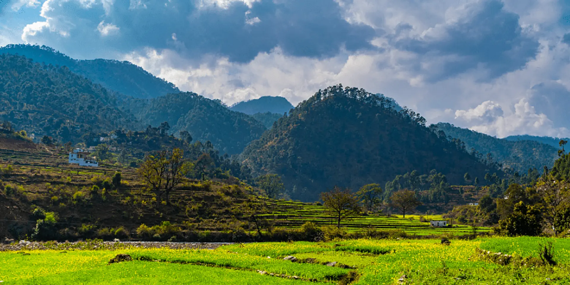 The UN Decade on Ecosystem Restoration aims to prevent, halt and reverse the degradation of ecosystems worldwide.