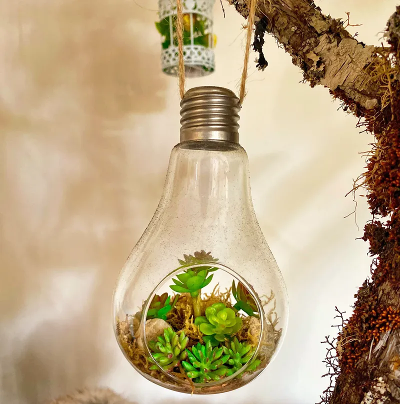 Social innovation-1