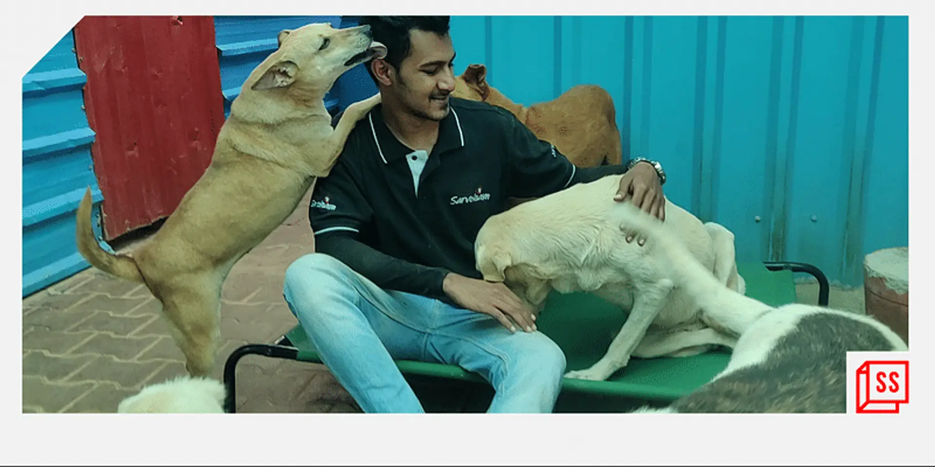 Bengaluru-based Sarvoham Trust looks after 200 sick and abandoned dogs