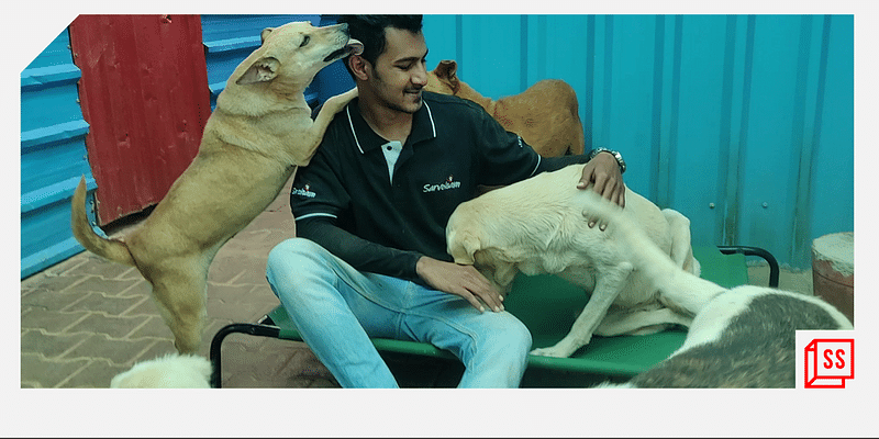 Bengaluru-based Sarvoham Trust looks after 200 sick and abandoned dogs